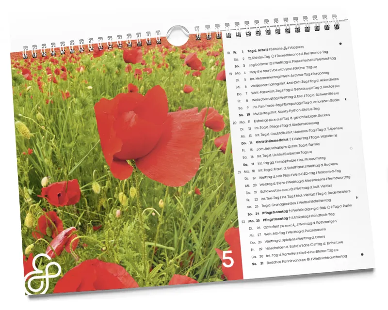 Der interkulturelle Designkalender 2026 05