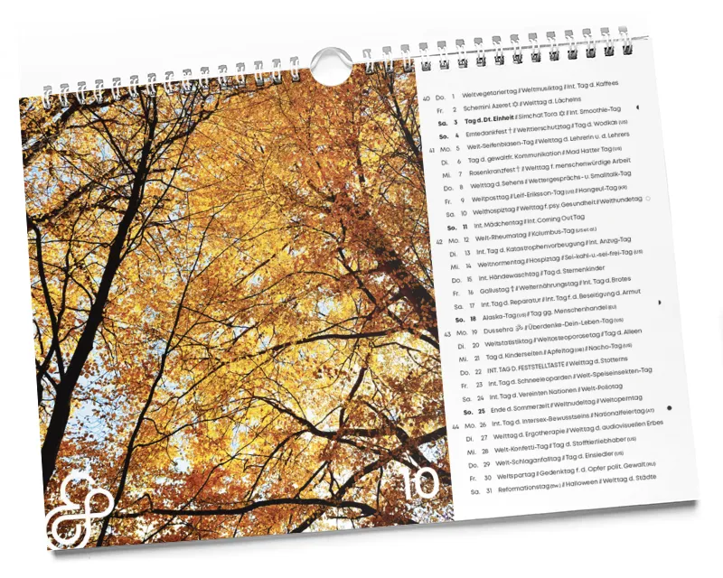 Der interkulturelle Designkalender 2026 10