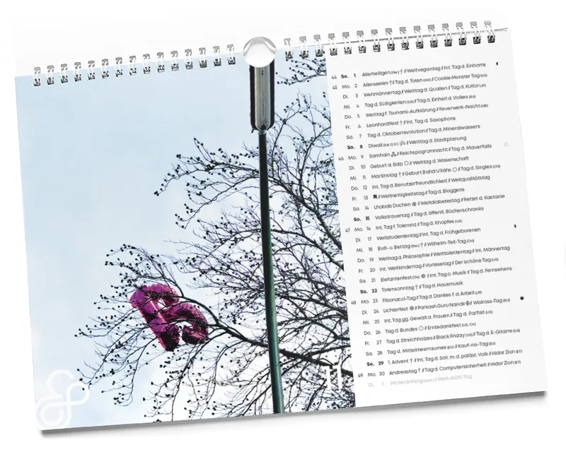 Der interkulturelle Designkalender 2026 11