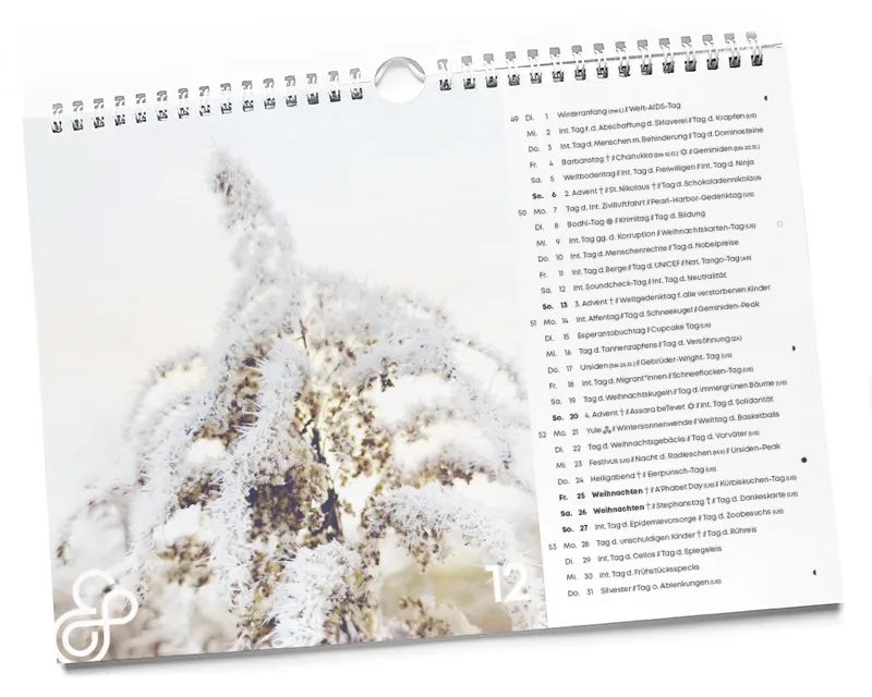 Der interkulturelle Designkalender 2026 12